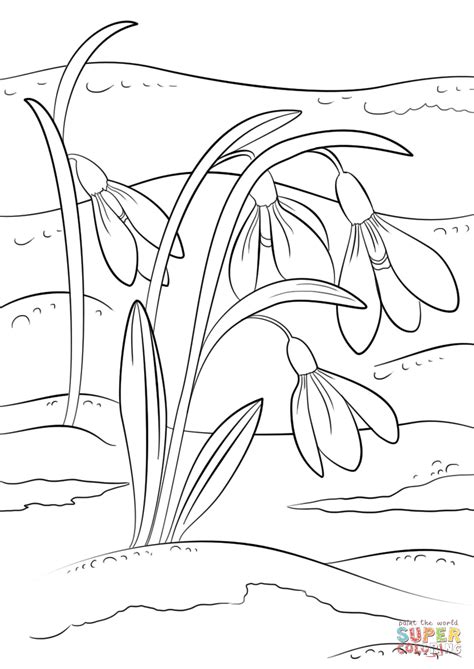 Snowdrops First Sign of Spring coloring page | Free Printable Coloring ...