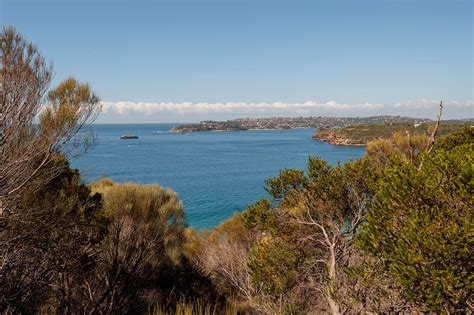 Manly - Ferry Services & Sydney Harbour Cruises - My Fast Ferry