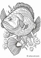 Zackenbarsch Ausmalbild » Gratis Ausdrucken & Ausmalen Artus Art sketch template