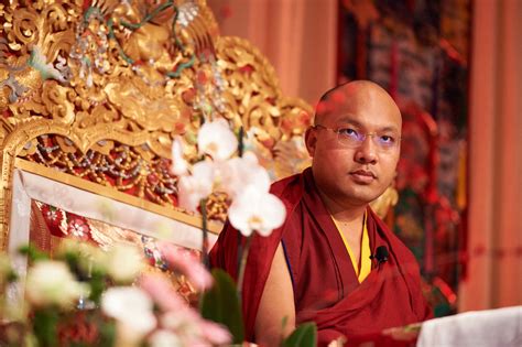 Karmapa Ogyen Trinley Dorje Calls for Community Reevaluation - Tricycle ...