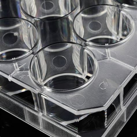 Transparent Ps Flat Bottom 12 Well Cell Culture Plate Disposable Manufacturers and Suppliers ...