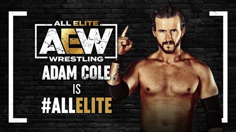 All Out Hat Trick: Adam Cole Signs With AEW - On Tap Sports Net