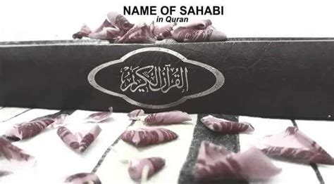 Names of Sahaba in Quran - Sahabi Name Mentioned in Quran | Edu Box