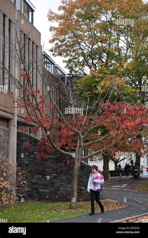 Bangor University, north wales UK Stock Photo - Alamy