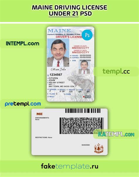 USA Maine driving license PSD download template, under 21