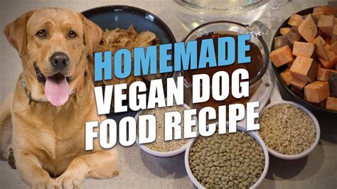 vegan dog food recipes homemade - Lesa Cates