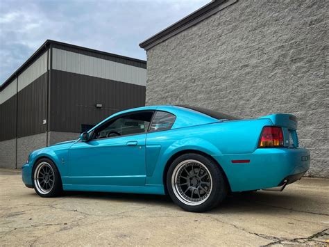 Stephanie's 2004 Mustang Cobra SVT