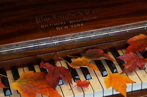 Autumn Piano 1 Photograph by Mick Anderson - Fine Art America