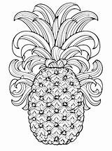 Pineapple Coloring Page Image  Premium AI Generated sketch template