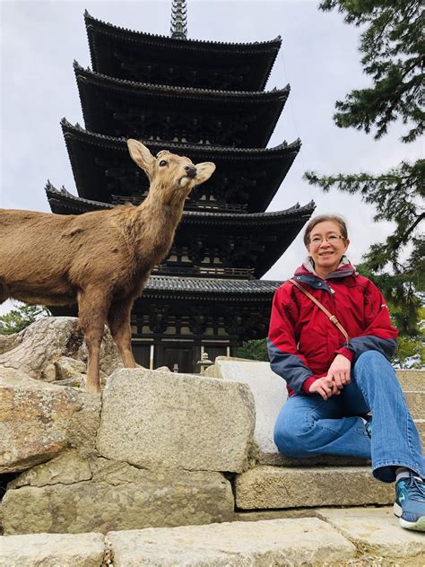 Incredible and Amazing Nara Deer Park! - Explore Cook Eat