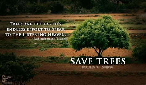 Save trees | Giridhar | Flickr