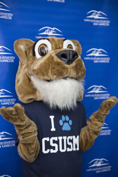 #CrashtheCougar #CSUSM #WelcomeWeek #Mascot | Mascot, Teddy, Teddy bear