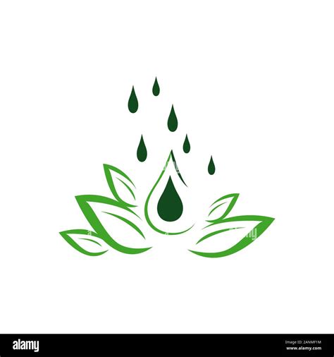 natural herb oil logo design with growing plant and oil drop symbol vector illustration Stock ...