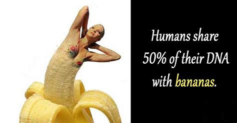 How Much Dna Do You Share With A Banana - Banana Poster