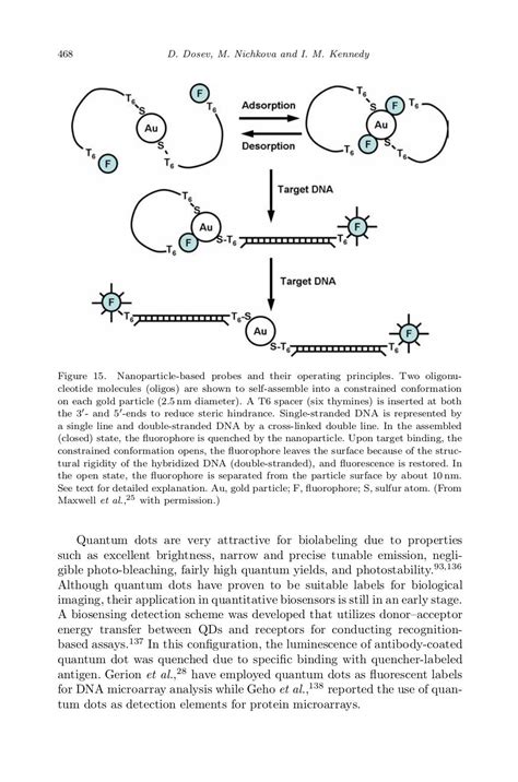 Environmental applications of nanomaterials 1860946623