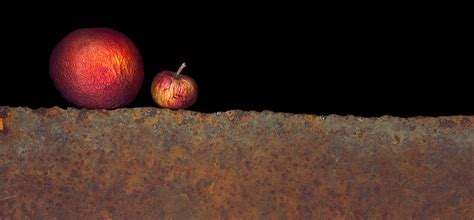 Rust Objects 7 Photograph by Tim Fleming - Fine Art America