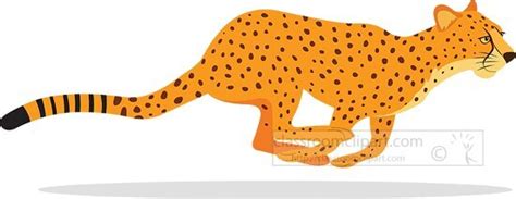 Cheetah Clipart-cheetah running white background vector clipart