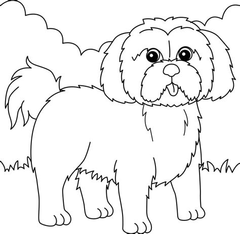 Shih Tzu Dog Coloring Page for Kids 7819100 Vector Art at Vecteezy