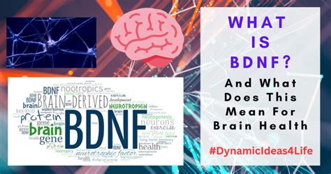 What Is BDNF and How Does It Affect Our Brain Health