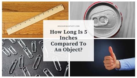 How Long Is 5 Inches Compared To An Object? - Measuring Stuff