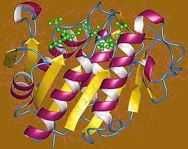 Biliverdin reductase - Alchetron, The Free Social Encyclopedia