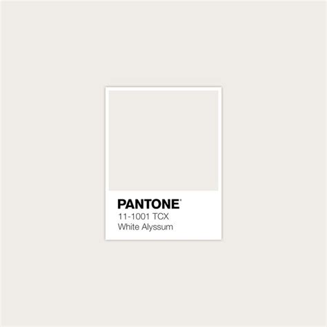 ☆P I N T E R E S T : @ellemartinez99☆ | Brand color palette, Pantone ...