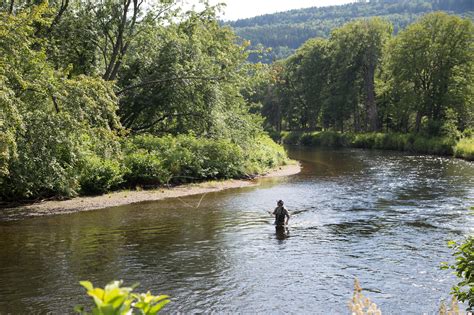 How to Choose the Best Fly Rod for Beginners - Trident Fly Fishing