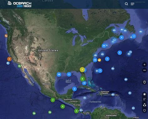 Shark & Marine Life Tracker ( Real Time Location Map) - Sharks, Alligators, Seals, Dolphins ...