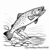 Brook Trout Coloring Pages  Free & Printable sketch template