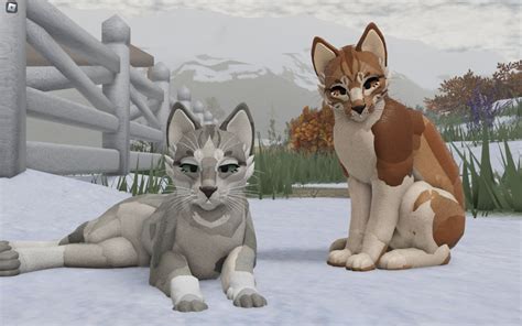 Pin by 𝐵𝑜𝑜𝓀𝒢𝒾𝓇𝓁𝒾𝑒 | 𝒯𝒶𝓎? on Wcue morph inspiration!! | Warrior cats, Warrior cat drawings ...