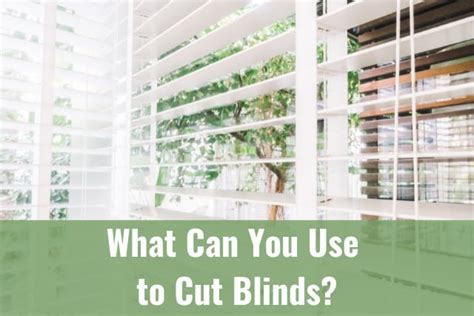 What Can You Use to Cut Blinds? (How To) - Ready To DIY