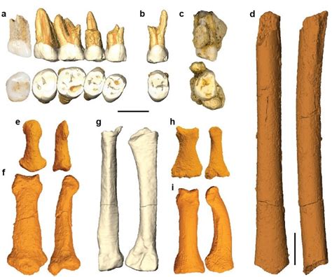 University of the Philippines-led international archaeology team ...