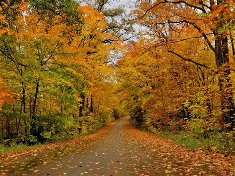 Ultimate Guide for Fall Fun | Things to Do in Detroit Lakes, MN