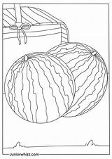 Watermelon Coloring Pages For Kids 14 Printable PDFs sketch template