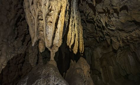 Meghalaya’s Caves: The Secret World Beneath | RoundGlass | Sustain