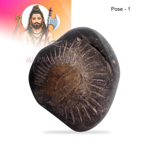 Shree Parshuram Vishnu Shaligram Stone Shila buy online