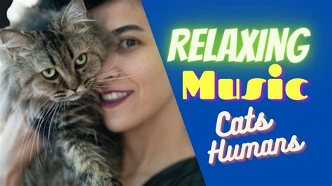 Relaxing Music for Cats and Humans, Relaxing Music for Your Cat, Relaxin... | Relaxing music ...