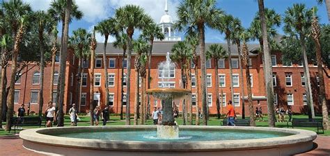 University of Florida - The Best Place to Acquire a Degree | HeatFeed