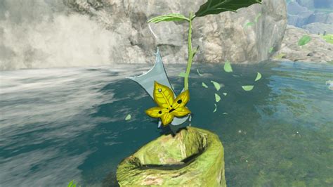 What Happens When You Find All Korok Seeds TotK? Answered