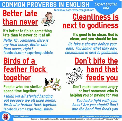 Common Proverbs in English English Idioms, English Phrases, English ...