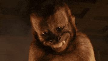 Monkey Dance GIFs - Find & Share on GIPHY