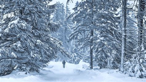 500+ Free Blizzard & Snow Images - Pixabay