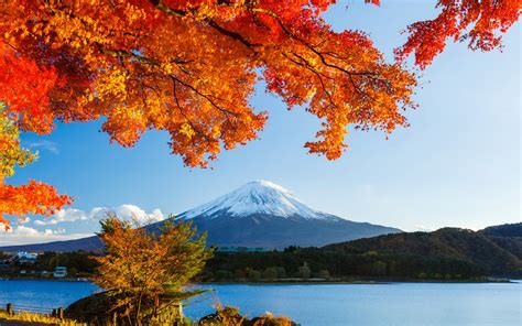Download Nature Mount Fuji HD Wallpaper