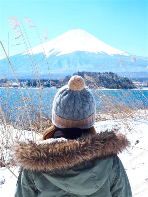 Tokyo Day Trip: Mt Fuji & Hakone - World of Wanderlust