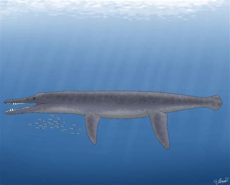 Kronosaurus by Selachimorphart30 on DeviantArt