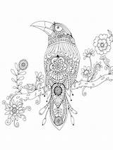 Crow coloring Pages For Adults sketch template
