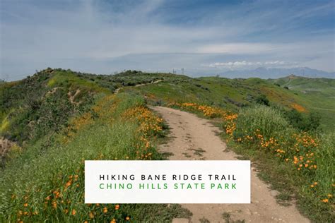 Hiking Bane Ridge Trail In Chino Hills State Park - Trail to Peak