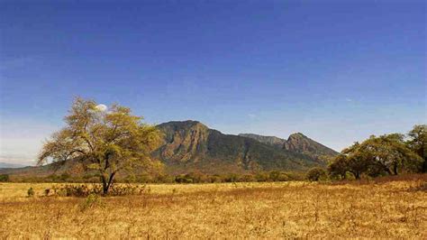 Baluran National Park Top Activities & Entrance Fee - IdeTrips