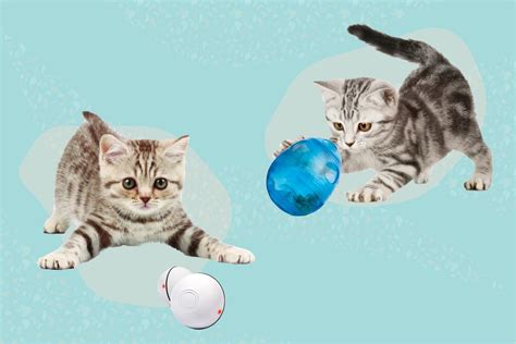 The 9 Best Interactive Cat Toys of 2023