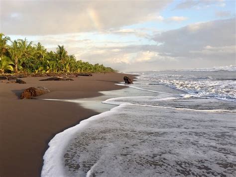 THE 10 BEST Tortuguero Beach Hotels of 2022 (with Prices) - Tripadvisor